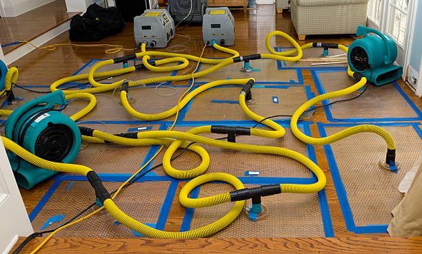 Professional Water Damage Restoration technician working in McLemoresville, TN